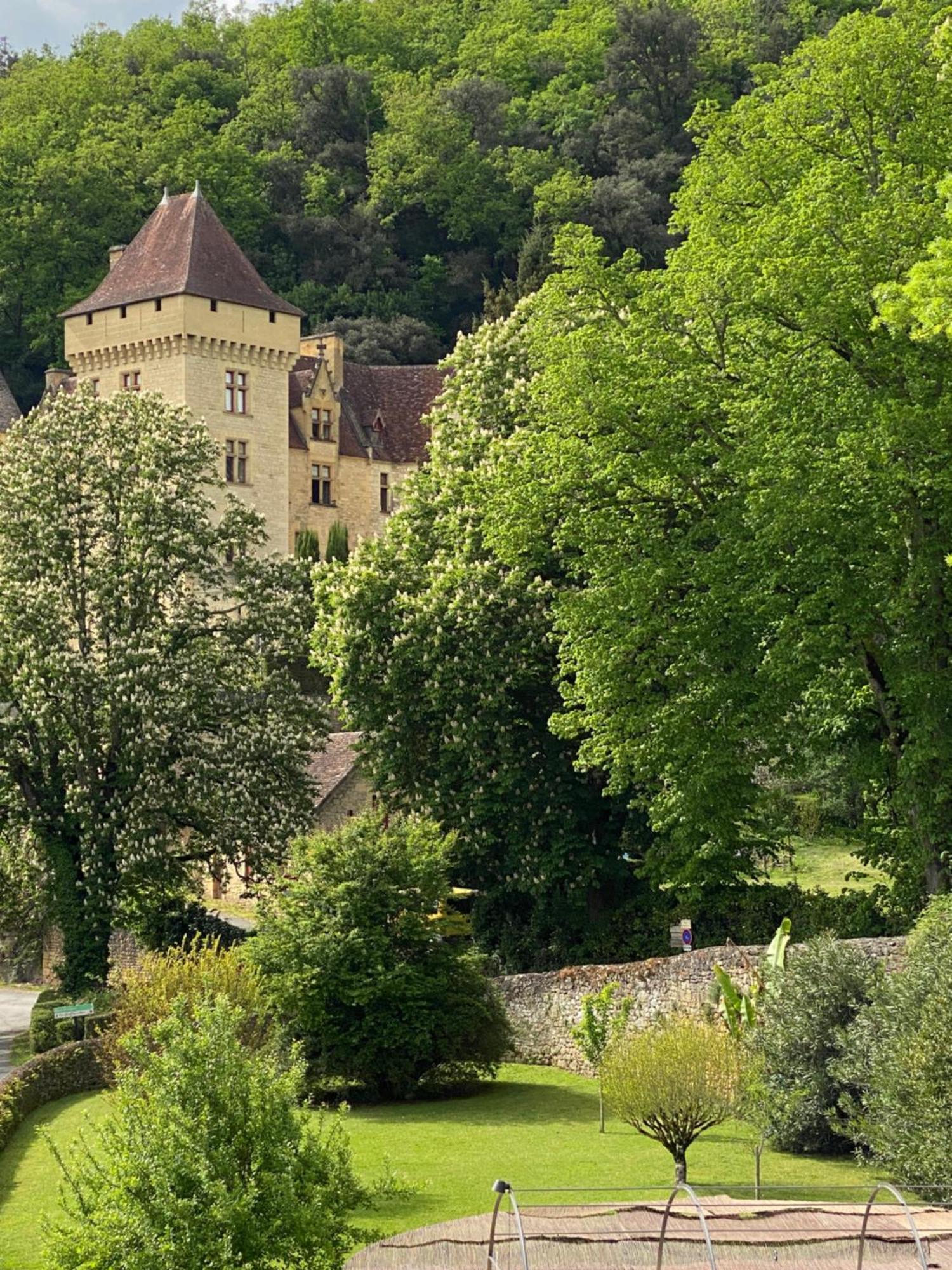 Appartement De Caractere A La Roque-Gageac Bagian luar foto